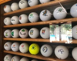 golf ball collection and holder