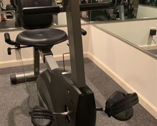 Schwinn Recumbent Bike