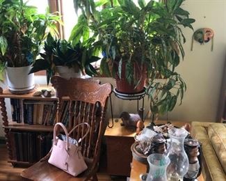 live plants