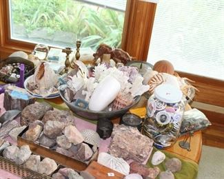seashells shells