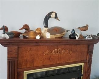 Bird decoys