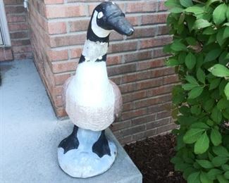 Canadian Goose With Clothes