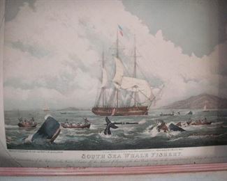 Antique handcolored engraving "The South Sea Whale" 