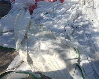 Womans America's Cup Sails