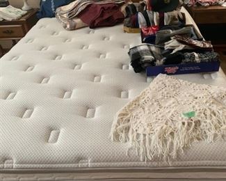 Queen sized Sleep Number bed, cap collection, scarves