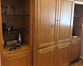 Wall unit with glass shelves and lit