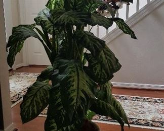 Large faux plants. 