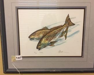 Pen & ink redfish