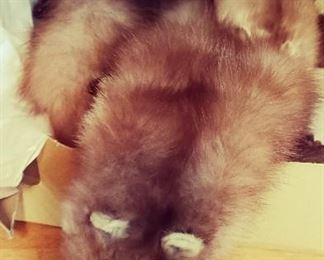 Vintage Fox Stoll / Accessories / Women's Fashion 