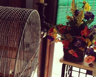 Bird Cage 