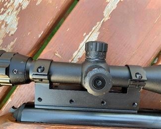 Diana 460 Magnum Air Rifle with Center Point Scope