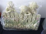 A nice resin Welcome garden sign