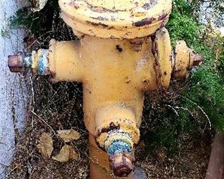 Antique fire hydrant