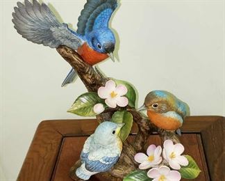 Andrea "Blue Bird family"