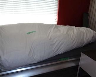 QUEEN FEATHER BED, TANNING BED