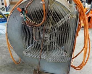 Large Shop Squirrel Fan