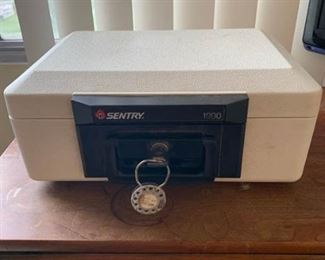 Sentry Safe https://ctbids.com/#!/description/share/220011