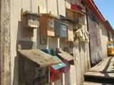 Bird Houses