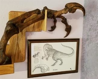 Allosaurus replica left arm. From the Paleon Museum in Glenrock, WY.