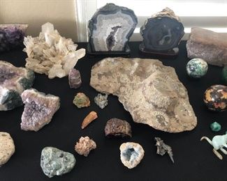 Geode/Fossils/Minerals