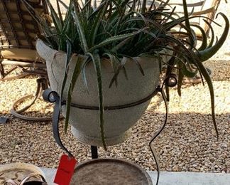 Aloe Vera with Pot and Stand 	 	
