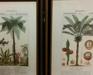 tbs botanical watercolors