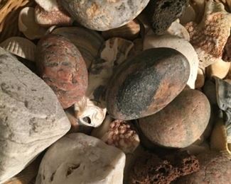 Shells and rocks.