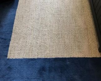 8 x 10 Carpet in Wool 
