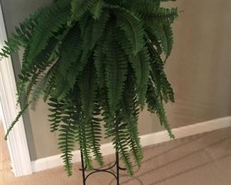 Fern and stand