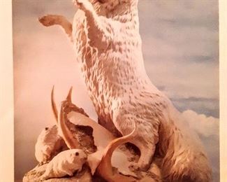 Boehn brochure stating "The Artic White Fox" limited to only restriction of 100!