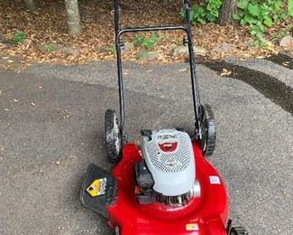 White Lawnmower Briggs & Stratton Engine