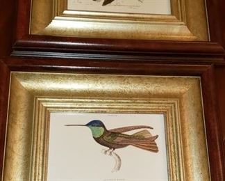 Bird Prints
