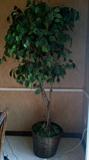 Faux potted plants