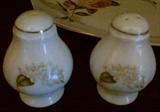 China Salt &hina serve for 8 KORONA Made in Poland Salt & Pepper