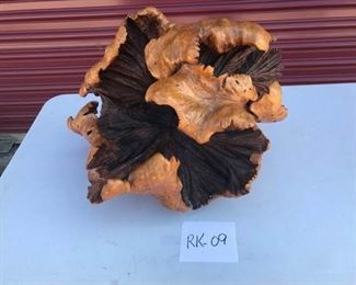 Petrified Fungus