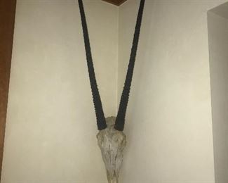 ORYX ANTELOPE SKULL WALL HANGING