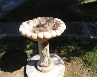 Bird Bath