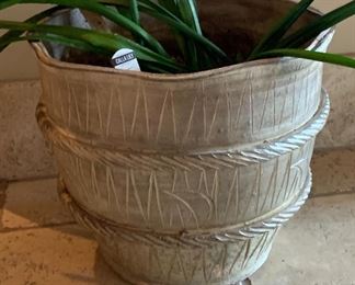 Large Ceramic Planter w/ Plant 304	