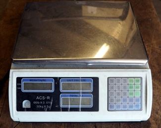 Digital Electronic Scale ACS-R, Powers Up