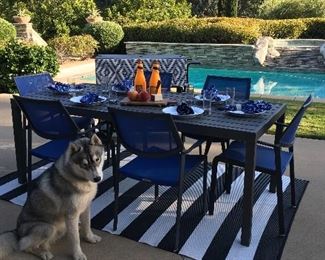 Al fresco dining at its best! Crate & Barrel dining table and 6 armchairs. Lanai mesh dining chair retails for $129.00 each, table $699 new. ENTIRE SET: $550.00