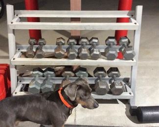  Dumbbells, dog not included 