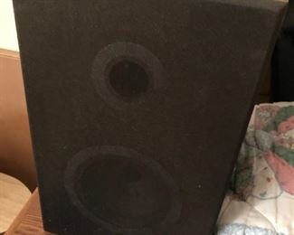 NICE PAIR OF SPEAKERS TO GO WITH THE AMPLIFIER