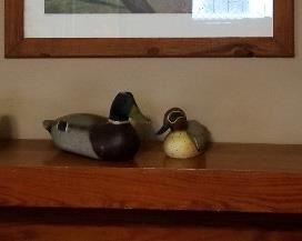 Duck Decoys