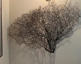 Large natural twig - nice for a wall hanging