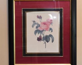 Framed Botanical Print (Roses)