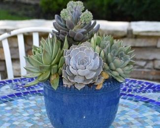 Blue Glazed Flower Pot with Artificial Succulents