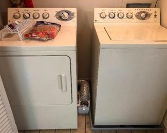 washer/dryer or two tubby robots you decide