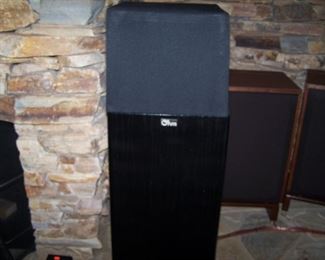 THE OTHER OHM SPEAKER