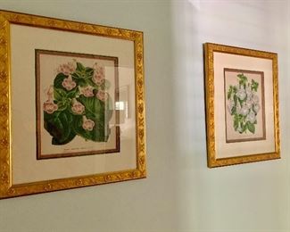 Framed botanicals