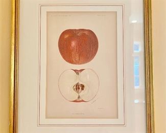 Framed fruit